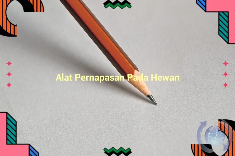 featured image alat pernapasan pada hewan 0