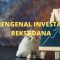 Memahami Investasi Reksadana, Tipe Serta Metode Memulainya
