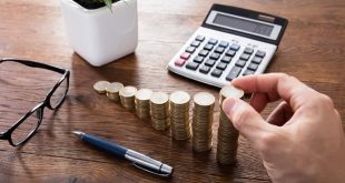 6 Metode Investasi Reksadana Bagi Pemula Untung Maksimal