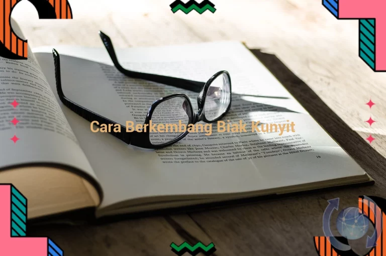featured image cara berkembang biak kunyit 0