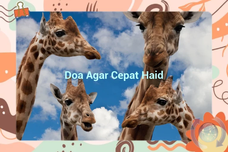 featured image doa agar cepat haid 0