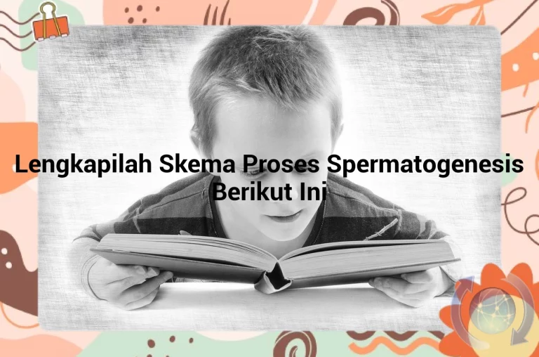 featured image lengkapilah skema proses spermatogenesis berikut ini 0