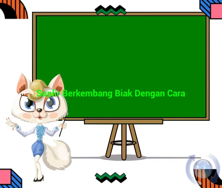 featured image suplir berkembang biak dengan cara 0