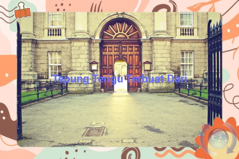 featured image tepung terigu terbuat dari 0