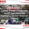 loker fresh graduate staff adminstrasi yamaha motor daerah mesuji 1751208905