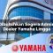 dibutuhkan segera admin dealer yamaha lingga 1752827166