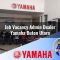 job vacancy admin dealer yamaha buton utara 1752830282