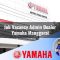 job vacancy admin dealer yamaha manggarai 1752654754