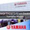 kerja cepat satpam dealer yamaha mappi 1752649472