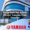 kerja hari ini admin dealer yamaha biak numfor 1752741654
