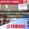 kerja hari ini admin dealer yamaha lahat 1752824459