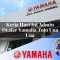 kerja hari ini admin dealer yamaha tojo una una 1752741842