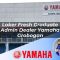 loker fresh graduate admin dealer yamaha grobogan 1752808642