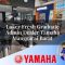 loker fresh graduate admin dealer yamaha manggarai barat 1752652022