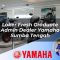 loker fresh graduate admin dealer yamaha sumba tengah 1752564632