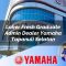 loker fresh graduate admin dealer yamaha tapanuli selatan 1752750029