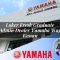 loker fresh graduate admin dealer yamaha way kanan 1752826503