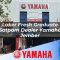 loker fresh graduate satpam dealer yamaha jember 1752749956