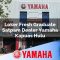 loker fresh graduate satpam dealer yamaha kapuas hulu 1752824403