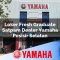 loker fresh graduate satpam dealer yamaha pesisir selatan 1752447888