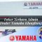 loker terbaru admin dealer yamaha klungkung 1752397580
