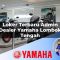 loker terbaru admin dealer yamaha lombok tengah 1752753958
